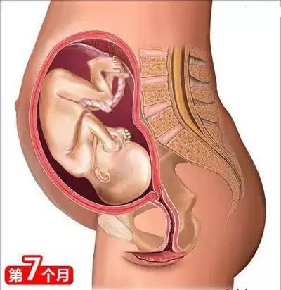 长沙月嫂:从怀孕到生娃，你一定要懂的26个母婴常识！(图6)