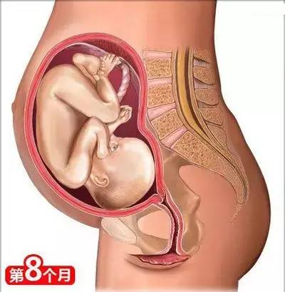 长沙月嫂:从怀孕到生娃，你一定要懂的26个母婴常识！(图7)