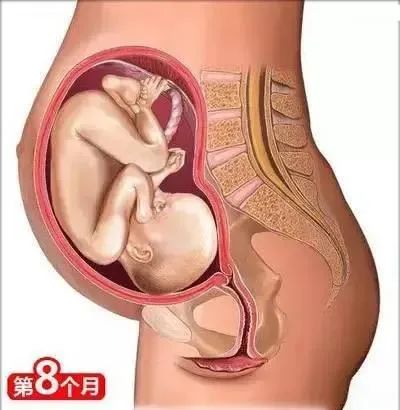 母婴知识丨从怀孕到生娃(图12)