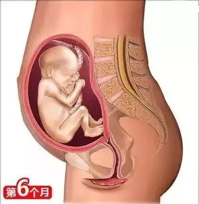 家政月嫂母婴:从怀孕到生娃的26个母婴常识！(图7)
